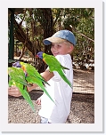 At the Zoo (9) * 576 x 768 * (113KB)